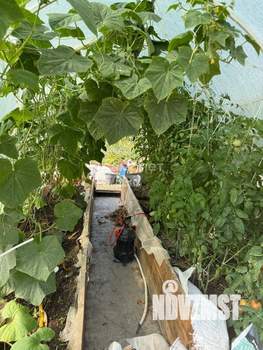 Коттедж 155м&sup2;, 2-этажный, участок 6 сот.  