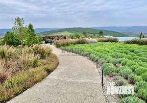 Дом 62м&sup2;, 1-этажный, участок 4 сот.  