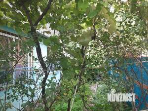 Дом 52м&sup2;, 2-этажный, участок 5 сот.  