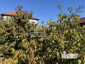 Дом 85м&sup2;, 1-этажный, участок 6 сот.  