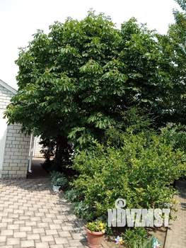 Дом 267м&sup2;, 2-этажный, участок 9 сот.  