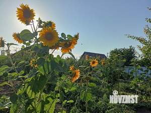 Дом 114м&sup2;, 2-этажный, участок 15 сот.  