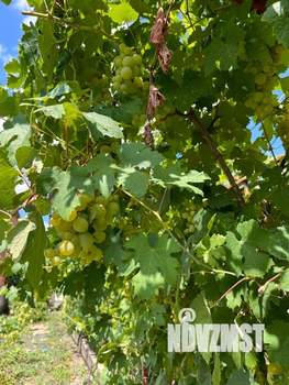 Дом 92м², 2-этажный, участок 6 сот.  