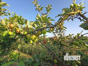 Дом 114м&sup2;, 2-этажный, участок 15 сот.  