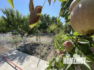 Дом 140м&sup2;, 1-этажный, участок 6 сот.  