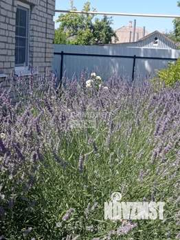 Дом 56м², 1-этажный, участок 6 сот.  