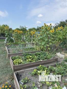 Коттедж 155м&sup2;, 2-этажный, участок 6 сот.  