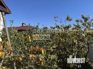 Дом 85м&sup2;, 1-этажный, участок 6 сот.  