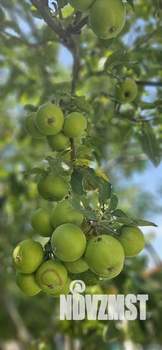 Дом 94м&sup2;, 2-этажный, участок 4 сот.  