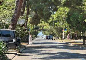 Дом 250м&sup2;, 2-этажный, участок 4 сот.  