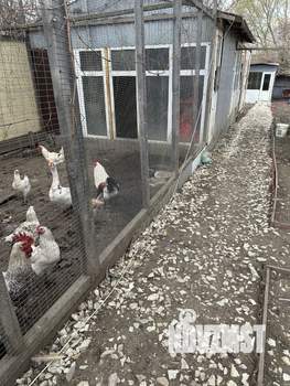 Дом 41м&sup2;, 1-этажный, участок 12 сот.  