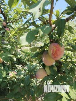 Дом 132м², 2-этажный, участок 7 сот.  