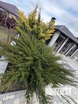 Дом 198м&sup2;, 2-этажный, участок 10 сот.  