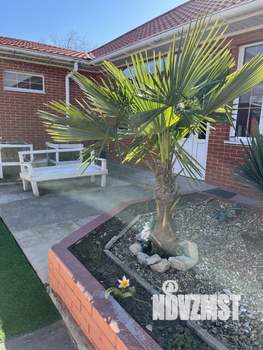 Дом 180м&sup2;, 1-этажный, участок 28 сот.  