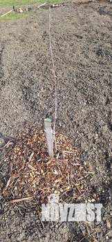 Дом 68м&sup2;, 1-этажный, участок 4 сот.  