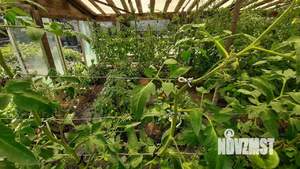 Дом 171м², 2-этажный, участок 12 сот.  