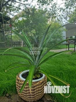 Дом 210м², 2-этажный, участок 7 сот.  