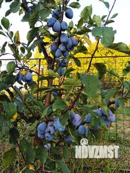 Дом 115м&sup2;, 2-этажный, участок 8 сот.  