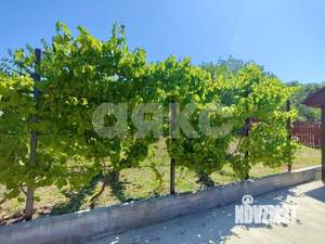 Дом 65м&sup2;, 1-этажный, участок 5 сот.  