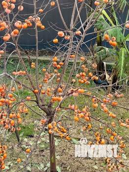 Дом 180м&sup2;, 2-этажный, участок 8 сот.  