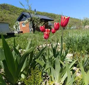 Дом 36м&sup2;, 1-этажный, участок 6 сот.  