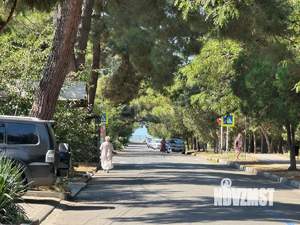 Дом 250м&sup2;, 2-этажный, участок 4 сот.  