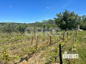 Дом 57м&sup2;, 1-этажный, участок 14 сот.  