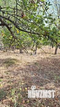 Дом 24м&sup2;, 1-этажный, участок 5 сот.  