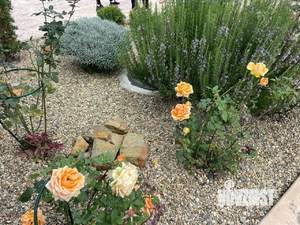 Коттедж 145м², 2-этажный, участок 10 сот.  