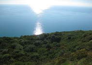 Фото комнаты в аренду (3)