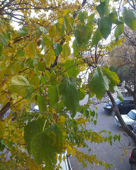 2-к квартира, на длительный срок, 59м2, 2/9 этаж