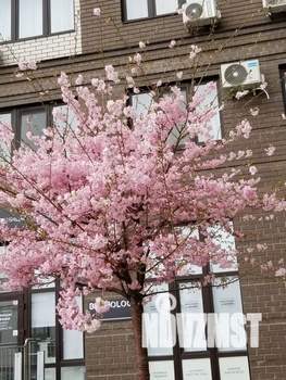 Студия квартира, посуточно, 24м2, 19/19 этаж