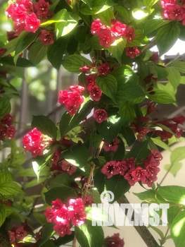 1-к квартира, посуточно, 30м2, 2/2 этаж