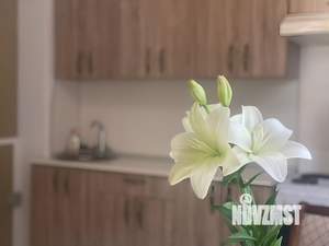 1-к квартира, на длительный срок, 28м2, 3/3 этаж