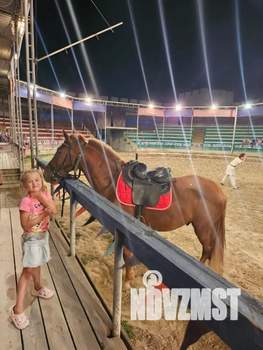 1-к квартира, посуточно, 52м2, 1/1 этаж