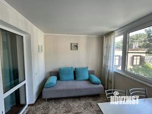 1-к квартира, на длительный срок, 43м2, 2/3 этаж