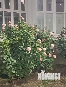 1-к квартира, на длительный срок, 37м2, 2/8 этаж