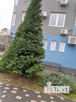 1-к квартира, на длительный срок, 57м2, 3/16 этаж