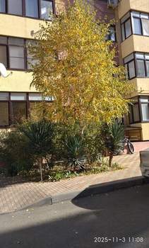 1-к квартира, на длительный срок, 38м2, 4/5 этаж