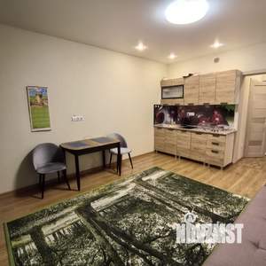 Студия квартира, на длительный срок, 30м2, 5/20 этаж