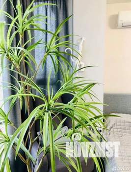 Студия квартира, посуточно, 30м2, 14/20 этаж