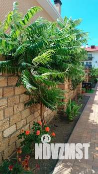 3-к квартира, посуточно, 85м2, 1/2 этаж