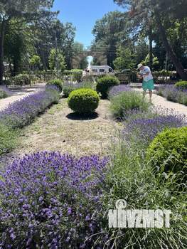 2-к квартира, посуточно, 37м2, 5/16 этаж