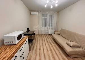 Студия квартира, на длительный срок, 25м2, 11/14 этаж