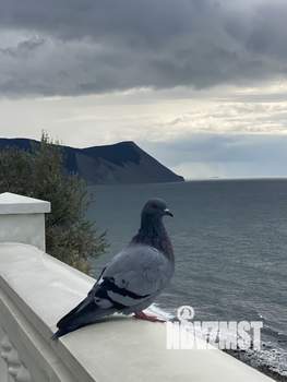 2-к квартира, посуточно, 60м2, 1/7 этаж