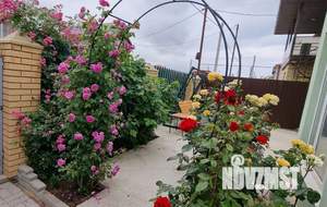 5-к квартира, посуточно, 100м2, 2/2 этаж