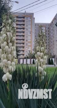 1-к квартира, посуточно, 40м2, 10/12 этаж