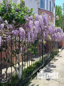 1-к квартира, на длительный срок, 30м2, 2/3 этаж