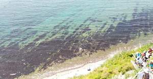 1-к квартира, на длительный срок, 38м2, 4/5 этаж