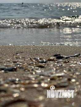 Студия квартира, посуточно, 25м2, 3/7 этаж